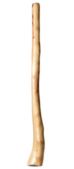 Medium Size Natural Finish Didgeridoo (TW1178)